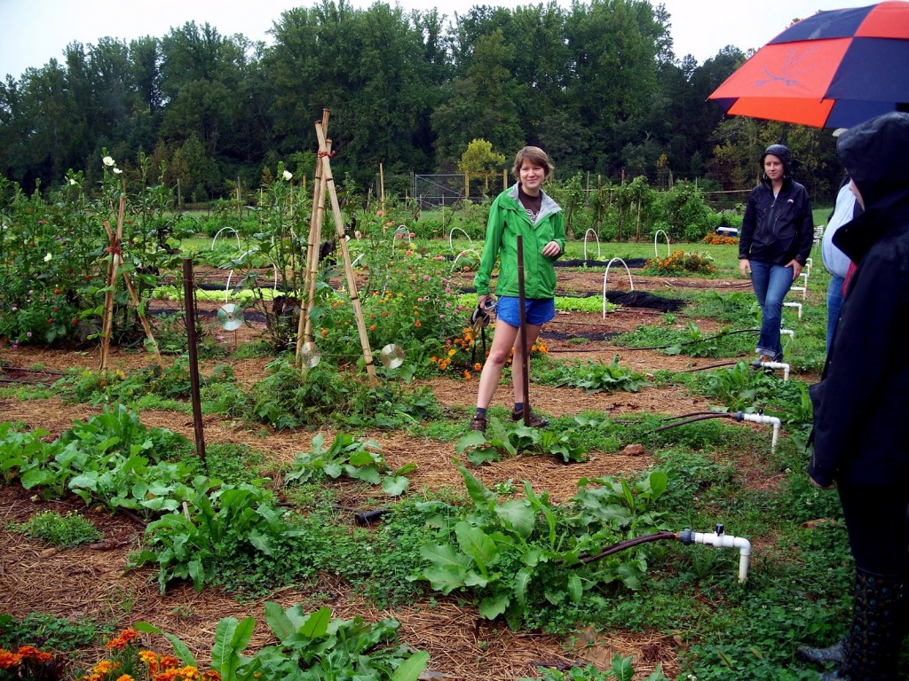 Students explore the Morven Kitchen Garden, which is often used as an outdoor classroom. Photo from: http://uvagreendining.blogspot.com/2012/01/morven-summer-institute-2012.html.